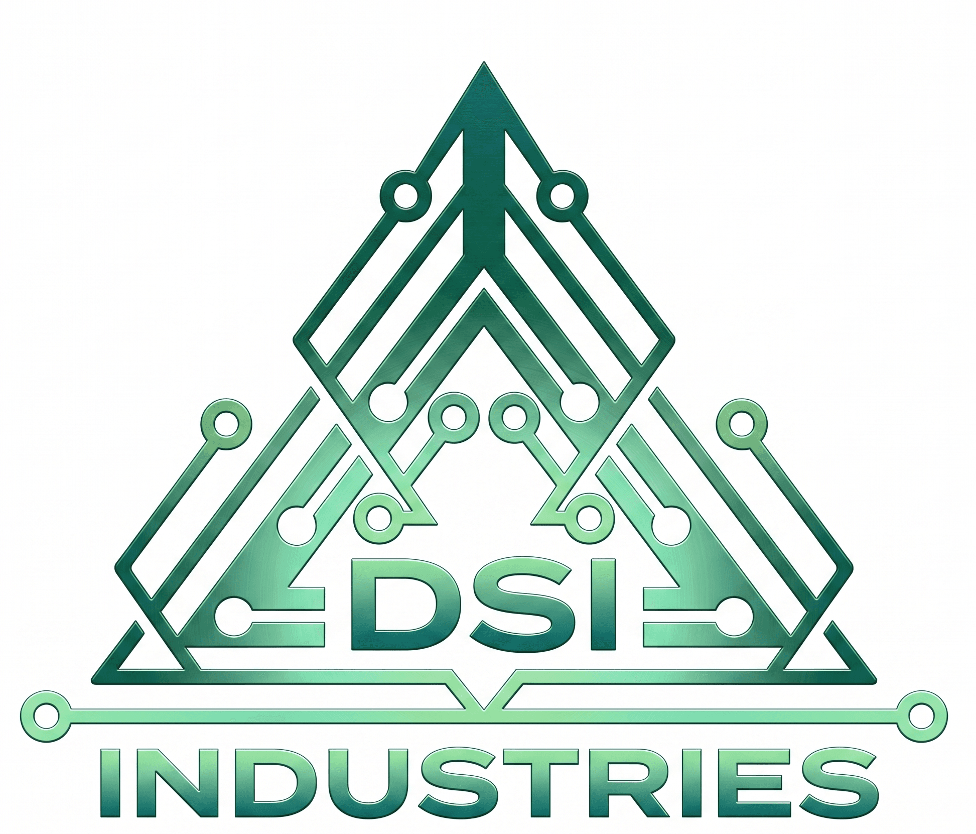 DSI Logo